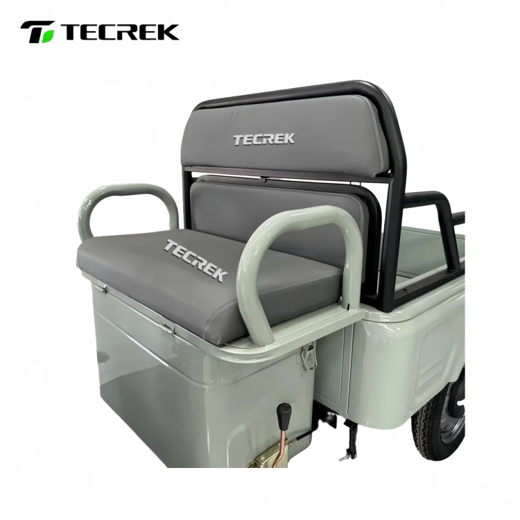 China Electric Tricycle factory